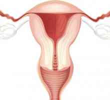 Omiterea a uterului: poate aveți deja simptome?