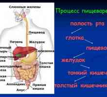 Caracteristicile de tratament al bolilor de colon