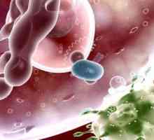 Caracteristici de dezvoltare și tratament al virusului papilomavirus uman la barbati