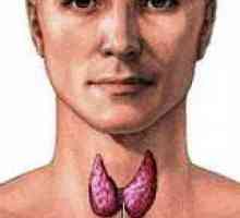 Caracteristici ale glandei tiroide la bărbați
