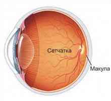 Edemul și tromboză retiniană