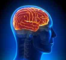 Contraindicații relative și absolute creier RMN