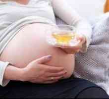 Decocturi pentru femeile gravide: 10 rețete