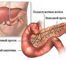 Pancreatita: patogeneza, simptome, tratament