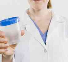 Paraziți în urină: Tipuri și tratament