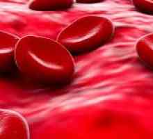 Norma hemoglobinei în sânge și funcțiile sale