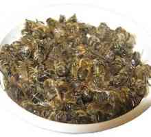 Bee Podmore - un agent eficient pentru tratarea diferitelor boli