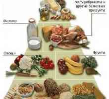 Piramida alimentară - tradițională, „omnivor“ nutriție.
