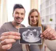 Este periculos pentru făt face cu ultrasunete la începutul sarcinii?