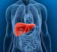 Care sunt cauzele abcese hepatice sunt tratate și cum