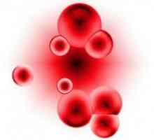 Ridicati remedii populare ale hemoglobinei. anemie