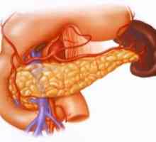 Pancreas: simptome, dificultăți de diagnostic și tratament