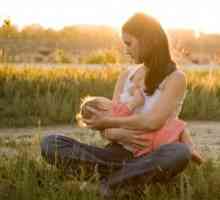 Apariția fisurilor pe mameloane în timpul alăptării: cauze si tratament