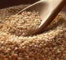 Proprietăți utile de semințe de susan
