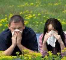 Febra fânului - sezonier „curge nasul“, și cum să-l lupta