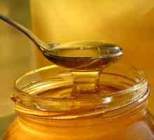 Avantaje și prejudicii de miere cu pancreatită