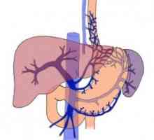 Hipertensiunea Portal: factorii de apariție, simptome, desigur, eliminarea