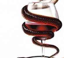 Consecințele alcoolismului - partea medicală și socială a problemei