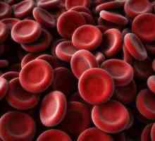 Valori crescute ale creatininei în sânge