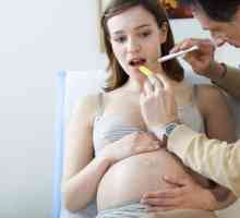 Reguli de tratament în gât în ​​timpul sarcinii și de sân