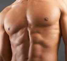 Nutriție adecvată pentru cresterea masei musculare - figura ideală, plus stare bună de sănătate
