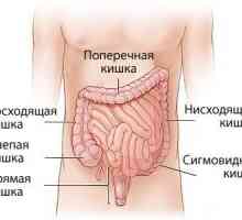 Prevenirea spasme in intestin