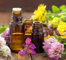 Beneficiile de uleiuri esențiale în tratamentul răcelii comune