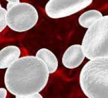 Motivele pentru creșterea monocite din sânge