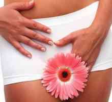 Motivele pentru care menstruatia întârziere după intoxicarea eroziune