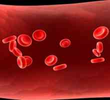 Alimente pentru a crește hemoglobina din sânge