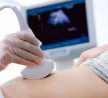 Realizarea și pregătirea pentru ultrasunete a stomacului