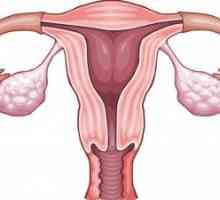 Ovarele lucreaza in menopauza