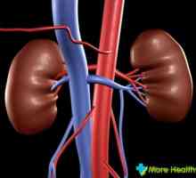 Amplasarea rinichilor în corpul uman
