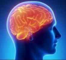 Encefalopatia comună a creierului