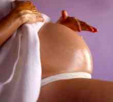 Eficacitatea uleiului de măsline asupra vergeturilor în timpul sarcinii și metode de utilizare
