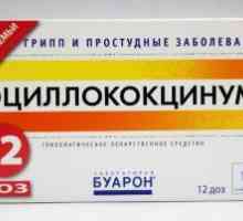 Indiferent dacă medicamentul este permis alăptarea otsillokoktsinum?