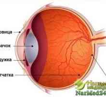 Dezvoltarea degenerescenta maculara a retinei și cum să lupte