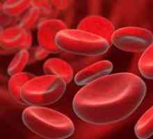 Remedii populare Tratamentul de sânge