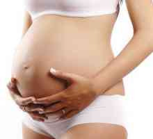Rolul canalului cervical în timpul sarcinii