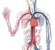 Bolile cardiovasculare în medicina tibetană