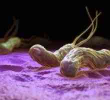 Conducerea eradicarea Helicobacter pylori, și trei linii de tratament helikobakterioza