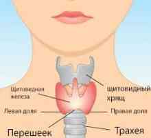Simptome de hipotiroidism