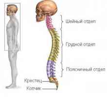Simptome și semne de boli degenerative de disc a coloanei vertebrale toracice