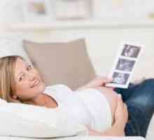 Când face ecografie primul și al dezvoltării fetale în primul trimestru de sarcină