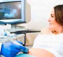 Screening-ul primului trimestru de sarcină