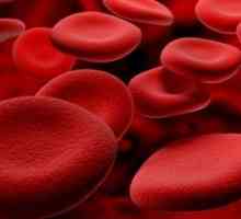 Conținutul hemoglobinei într-un mediu hematiilor - norma si patologie