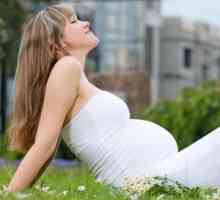 Remediul pentru alergii pentru femeile gravide