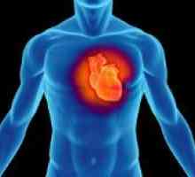 Structura inimii umane și funcția sa