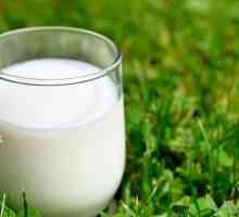 Ce trebuie să știți despre ziua de descărcare de lapte?