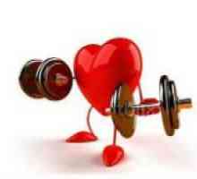 Proprietățile mușchiului inimii și bolile sale
